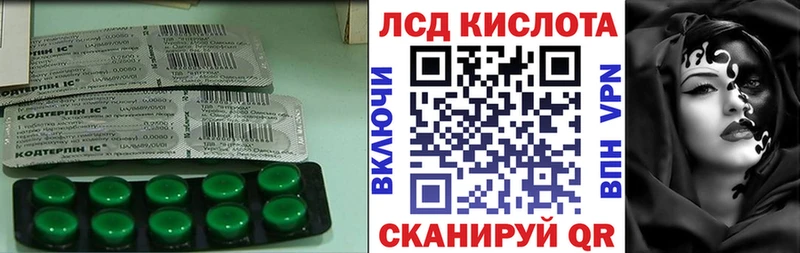 Купить закладки  Баймак  LSD-25 экстази кислота 
